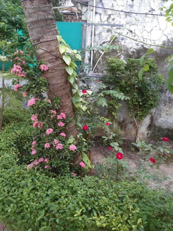Dwārka Gurukrupa Bunglow מראה חיצוני תמונה